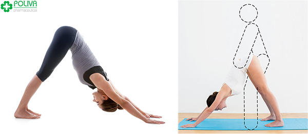 Tư thế Yoga đôi giúp điều hòa cơ thể, hạn chế tình trạng xuất tinh sớm