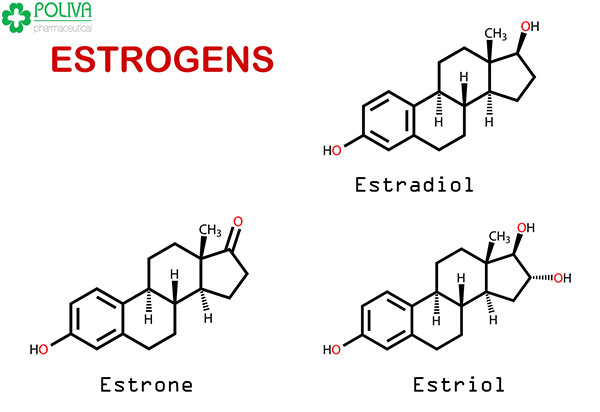 Thừa hay thiếu Estrogen cũng đều không tốt.
