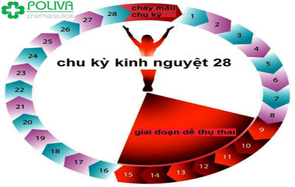 Uống thuốc tránh thai vẫn có thai