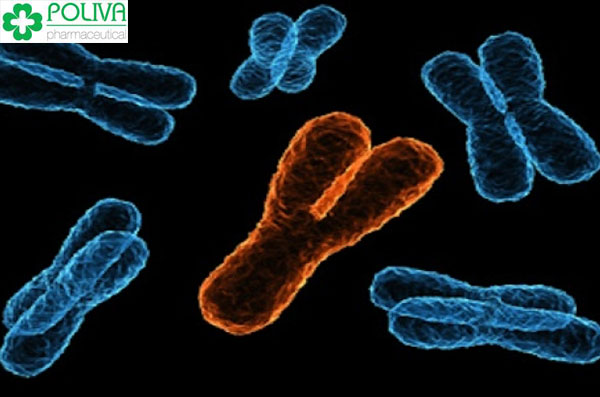 Rối loạn di truyền do mất đoạn trên nhiễm sắc thể Y cần đặc biệt lưu ý vì nó có thể di truyền lại bất thường này cho thế hệ sau