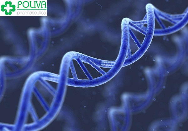 Yế sinh lý nữ do di truyền có nguyên nhân từ sự bất thường nhiễm sắc thể về số lượng, cấu trúc và hội chứng đứt gãy nhiễm sắc thể X