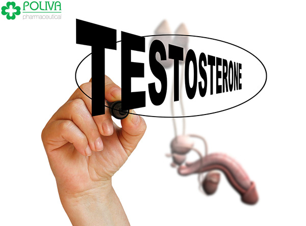 Dứa tươi tăng Testosterone cho đàn ông hừng hực khí thế