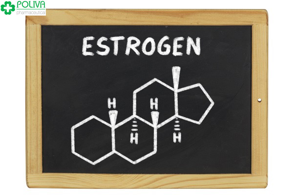 Niêm mạc tử cung được phát triển bởi nội tiết tố Estrogen