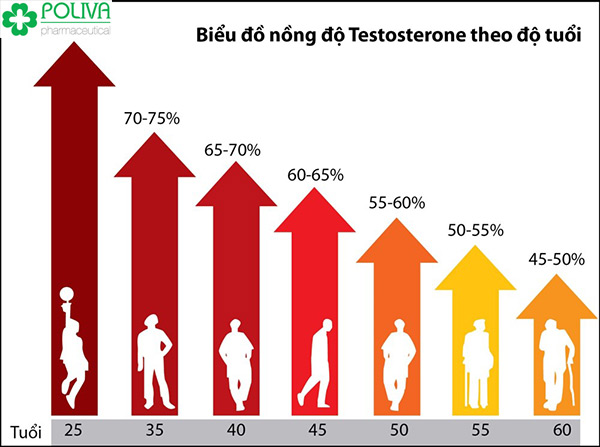 Nồng độ Testosterone bị suy giảm theo tuổi thọ của nam giới