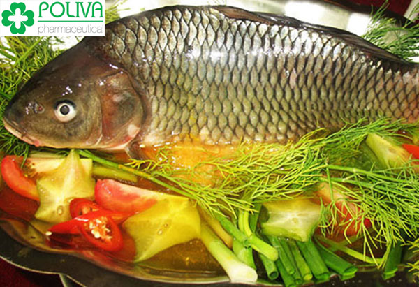 Cá chép là nguồn thực phẩm bổ sung nhiều dinh dưỡng cho mẹ và bé