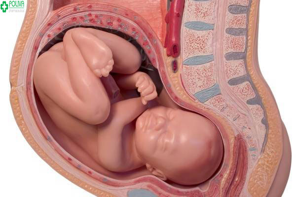 Nguy cơ tính mạng thai nhi rình rập nếu bị suy thai