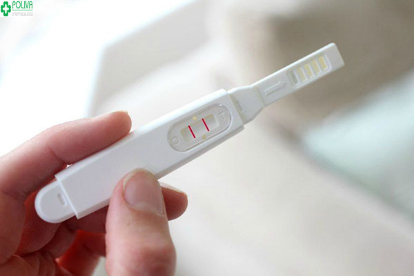 Que thử thai tiện dụng, sử dụng dễ dàng và cho kết quả chính xác cao