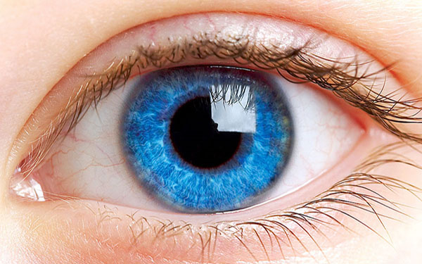 Tất cả các bệnh về mắt và triệu chứng – Xem ngay để biết