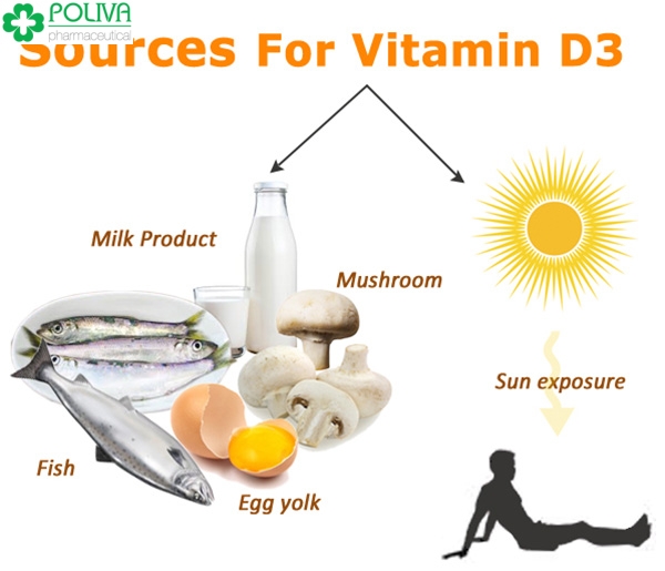 Vitamin D3 có tác dụng gì đối với cơ thể?