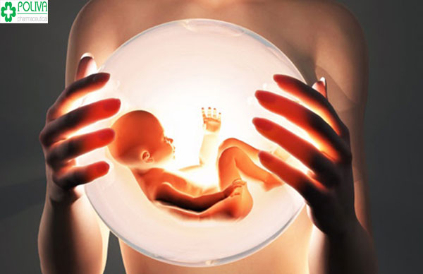 Quá trình thụ thai sẽ diễn ra khi tinh trùng gặp trứng