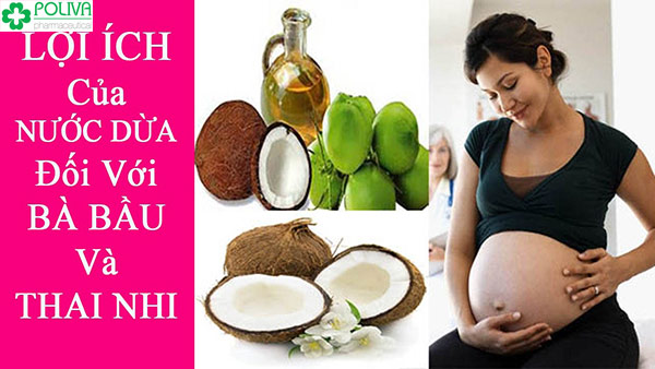 Nước dừa được nhận định từ xưa đến nay là tốt cho thai phụ
