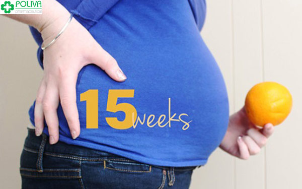 15 tuần tuổi thai nhi phát triển như thế nào?