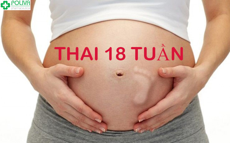 Thai 18 tuần tuổi sẽ phát triển ra sao?