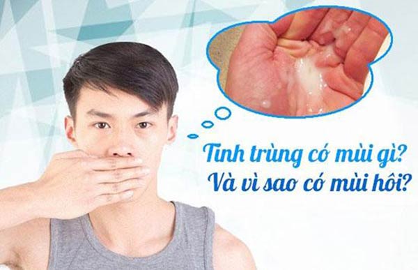 Cẩn thận với tình trạng tinh trùng có mùi hôi